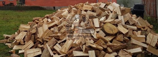 Kaminholz waldfrisch